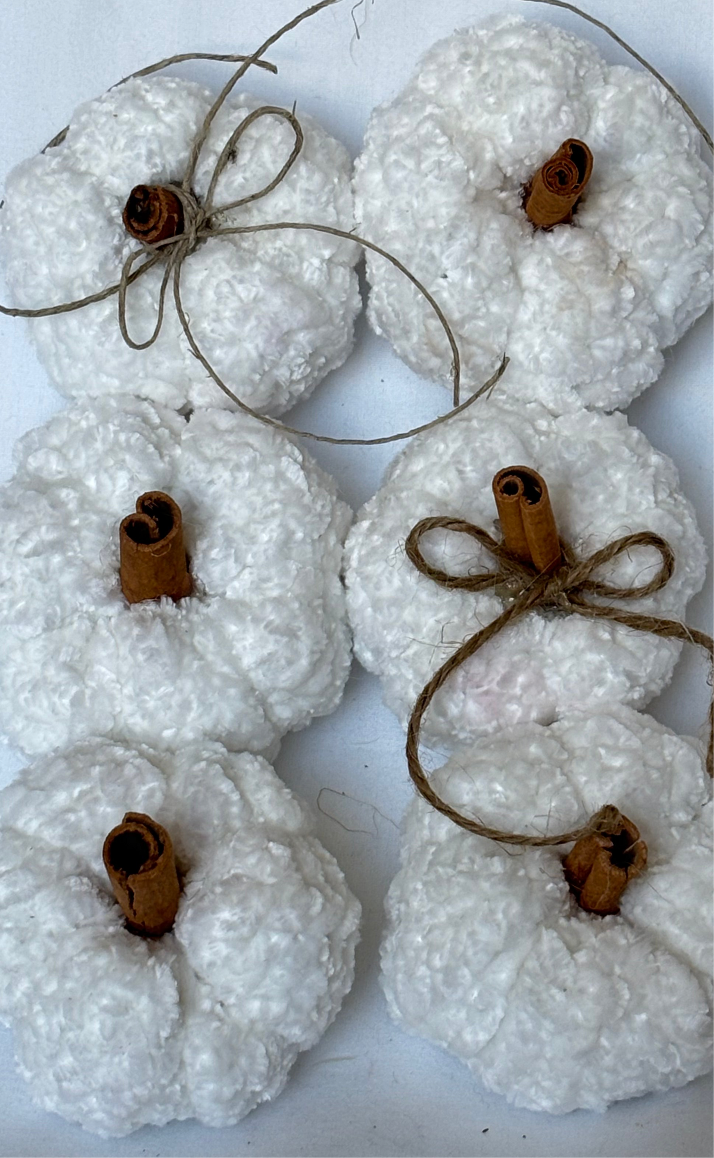 Mystery Mini Pumpkins
